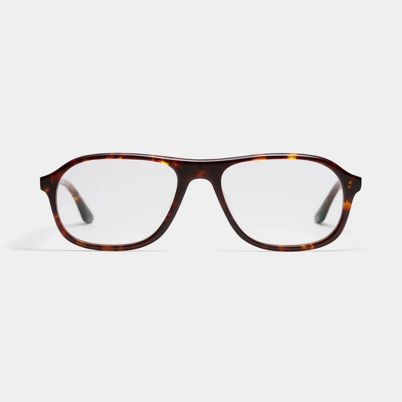 Peter and May LT34 Paul Tortoise